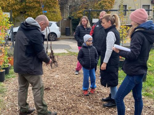 Főkertész úr a metszést mutatja