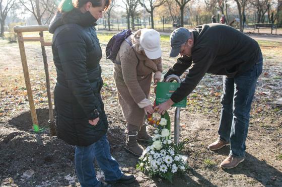 Emléktáblát avattak Mohácsi Ferenc olimpikon emlékére