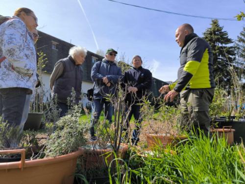 Ádám Attila István főkertész kertészeti workshopot tart a Karát utcai Közösségi Növénynevelőben
