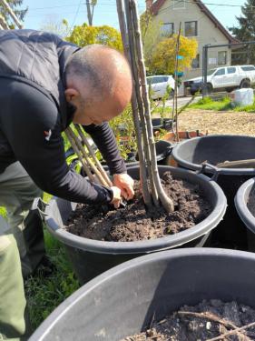 Ádám Attila István főkertész kertészeti workshopot tart a Karát utcai Közösségi Növénynevelőben