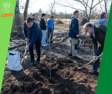 A kreatívon Kovács Péter polgármester és néhány önkéntes látható faültetés közben