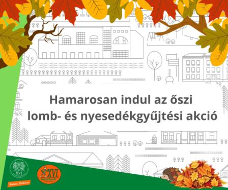 Hamarosan indul az őszi  lomb- és nyesedékgyűjtési akció