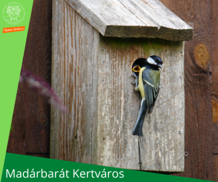 Madárbarát Kertváros - egy cinke ül egy madárodú bejáratánál