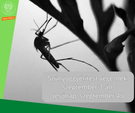 Egy szúnyog egy ágon - Szúnyoggyérítést végeznek  szeptember 3-án  (esőnap: szeptember 4.)