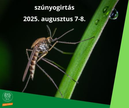 Szúnyogirtás, 2025. augusztus 7-8. Egy szúnyog egy levélen.