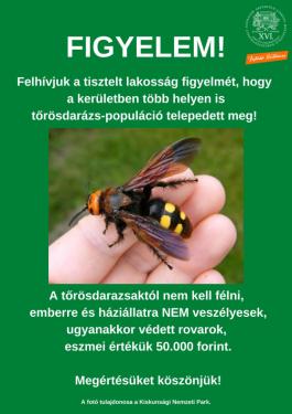 Figyelem! Felhívjuk a tisztelt lakosság figyelmét, hogy a kerületben több helyen is tőrösdarázs-populáció telepedett meg! A tőrösdarazsaktól nem kell félni, emberre és háziállatra nem veszélyesek, ugyanakkor védett rovarok, eszmei értékük 50.000 forint. Megértésüket köszönjük!
