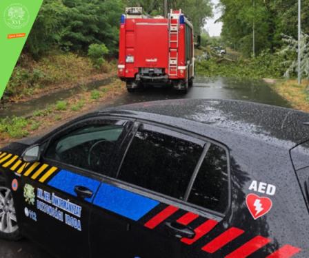 A képen egy útra dőlt fa látható