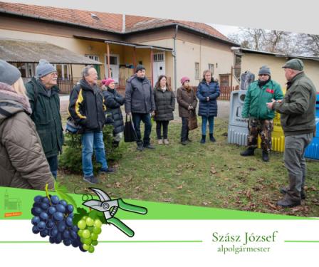 A képen metszés látható