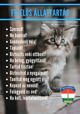 a kreatívon olvasható szöveg teljes egészében megtalálható a szöveges részben