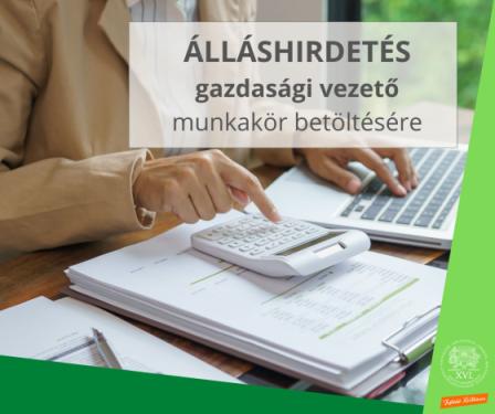 Álláshirdetés gazdasági vezető munkakör betöltésére