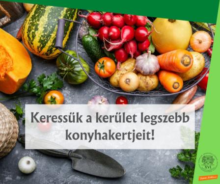 Keressük a kerület legszebb konyhakertjeit!