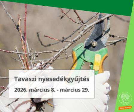 Tavaszi nyesedékgyűjtés 2026. március 8. - március 29.